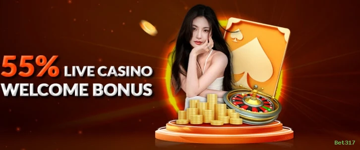 Programa VIP exclusivo da Bet317